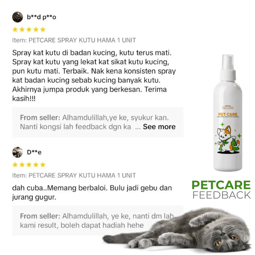 TESTIMONY-1.webp