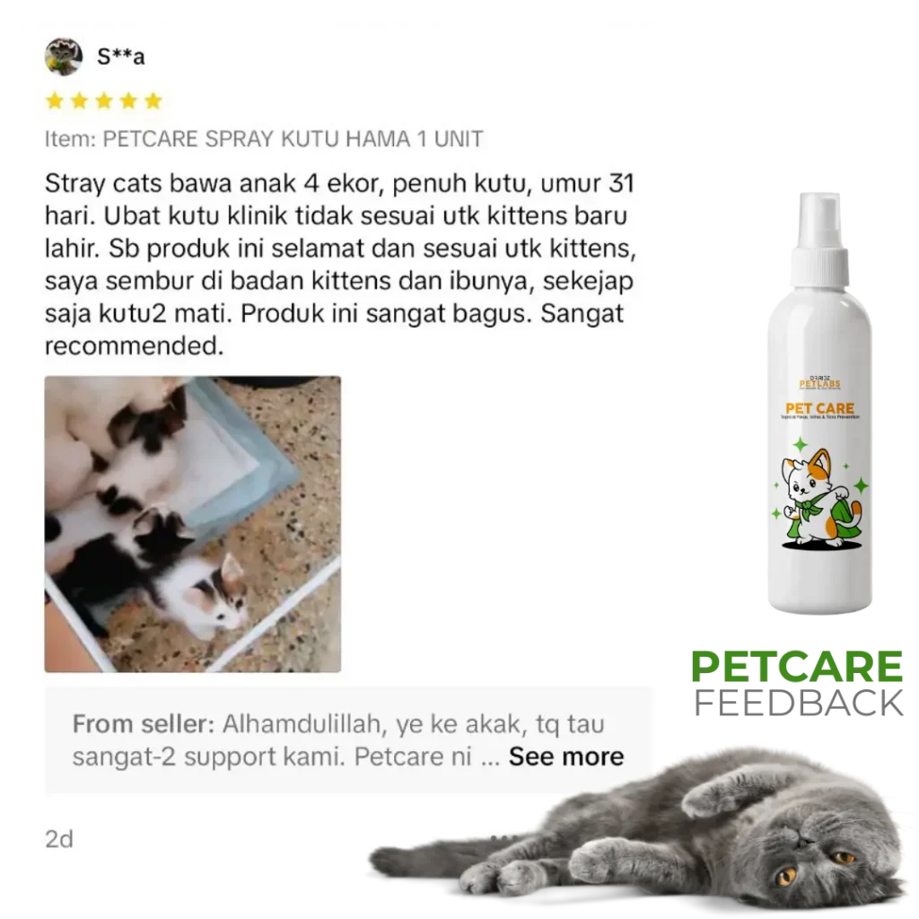 TESTIMONY2.webp